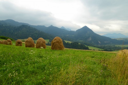 Okolica
